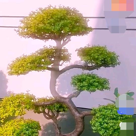 沉默~