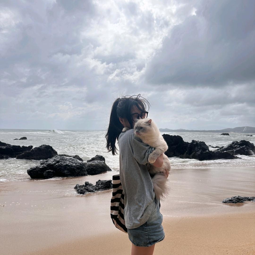 不是芦苇是芦荟