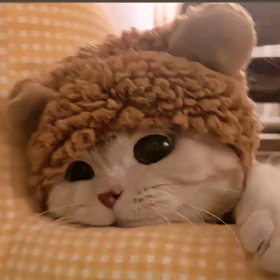 赛德妮玛.鹊黑女士