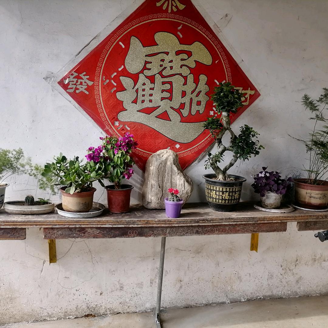 家院
