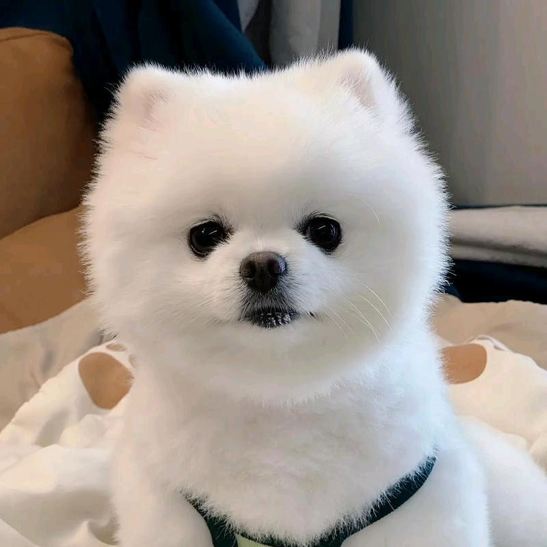 表哥的小含同学