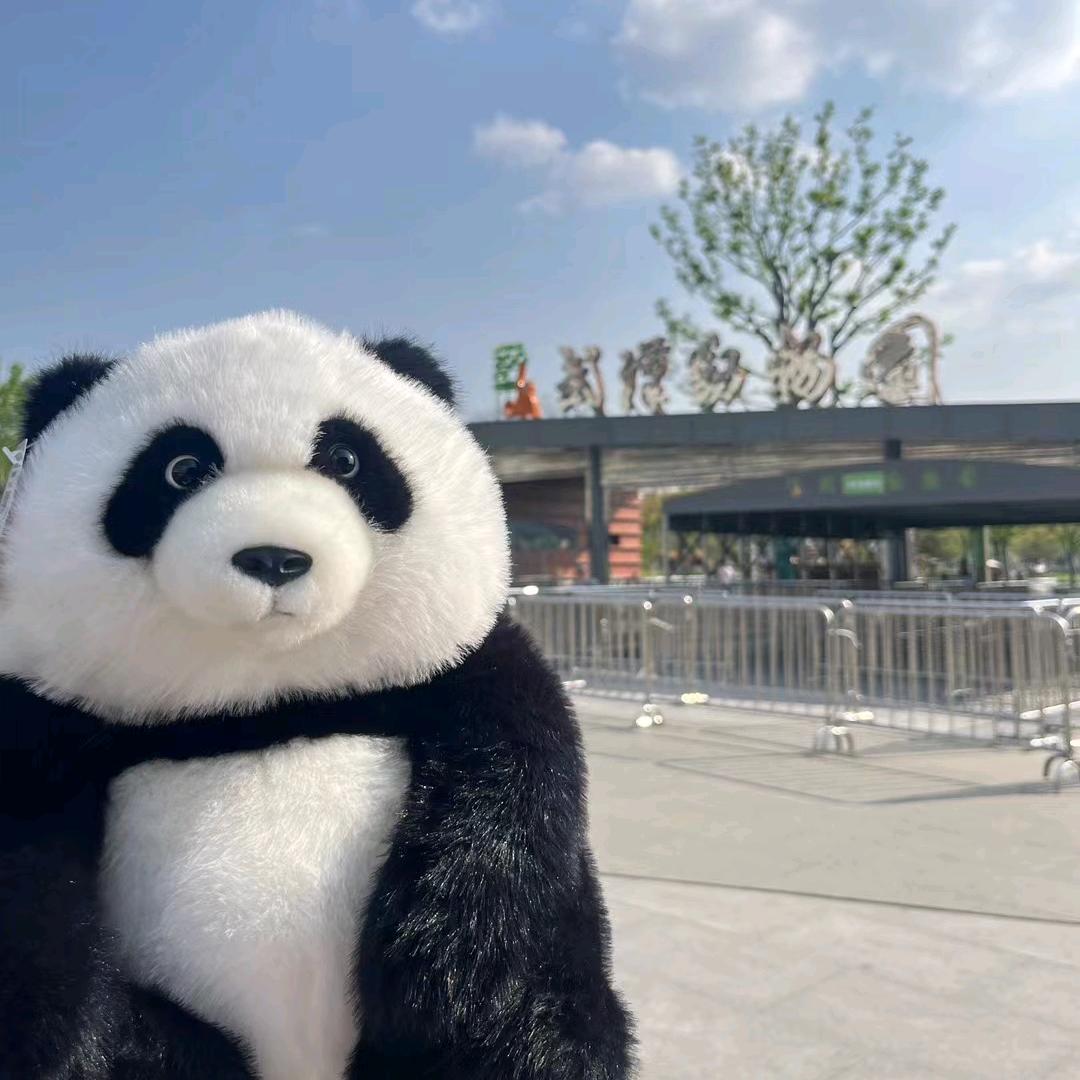 没心没肺的