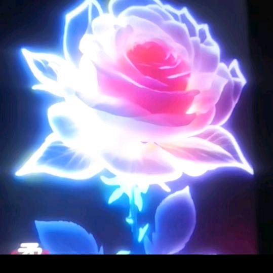 玫瑰🌹