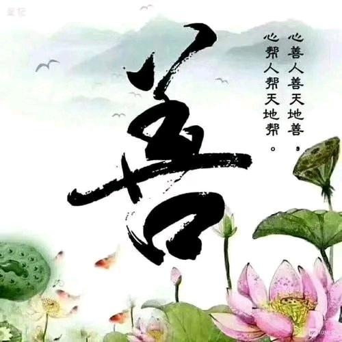 🌷🌷感恩遇见🌷🌷