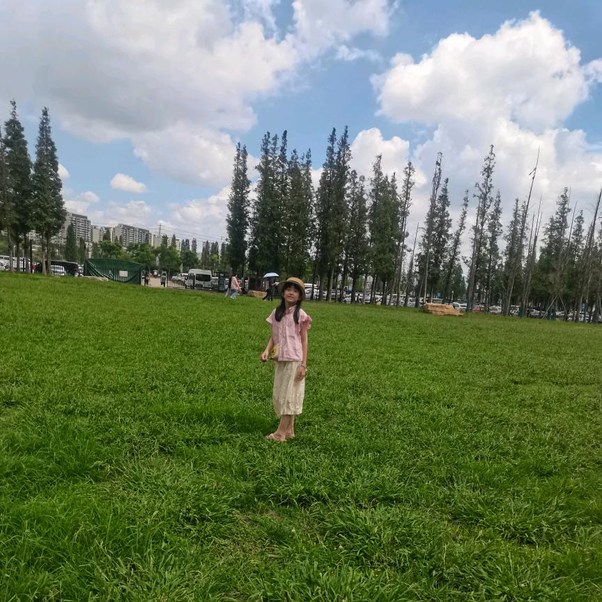 一树红花照碧海