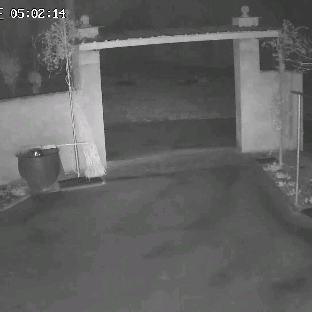 开心过好每一天