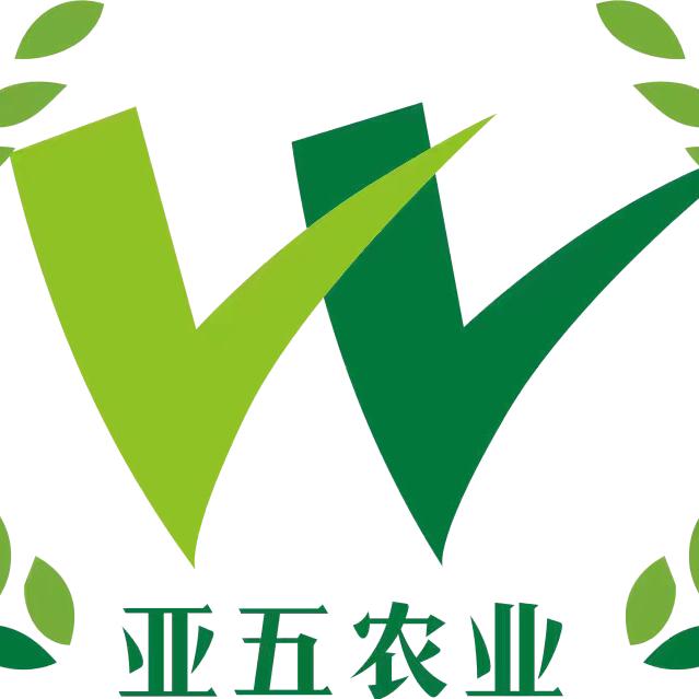 亚五 甄选（齐鲁乡村之星）