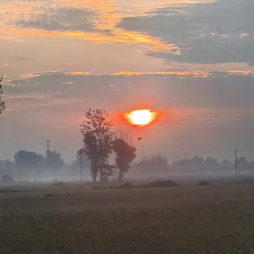 小郭纯手工凉皮