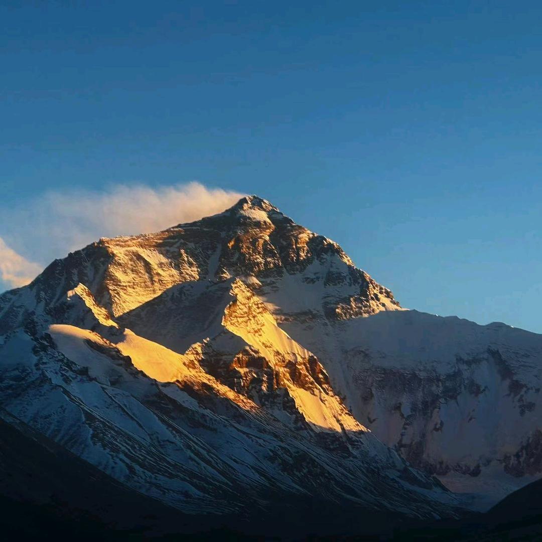 田园之梦（乡村运动大赛）