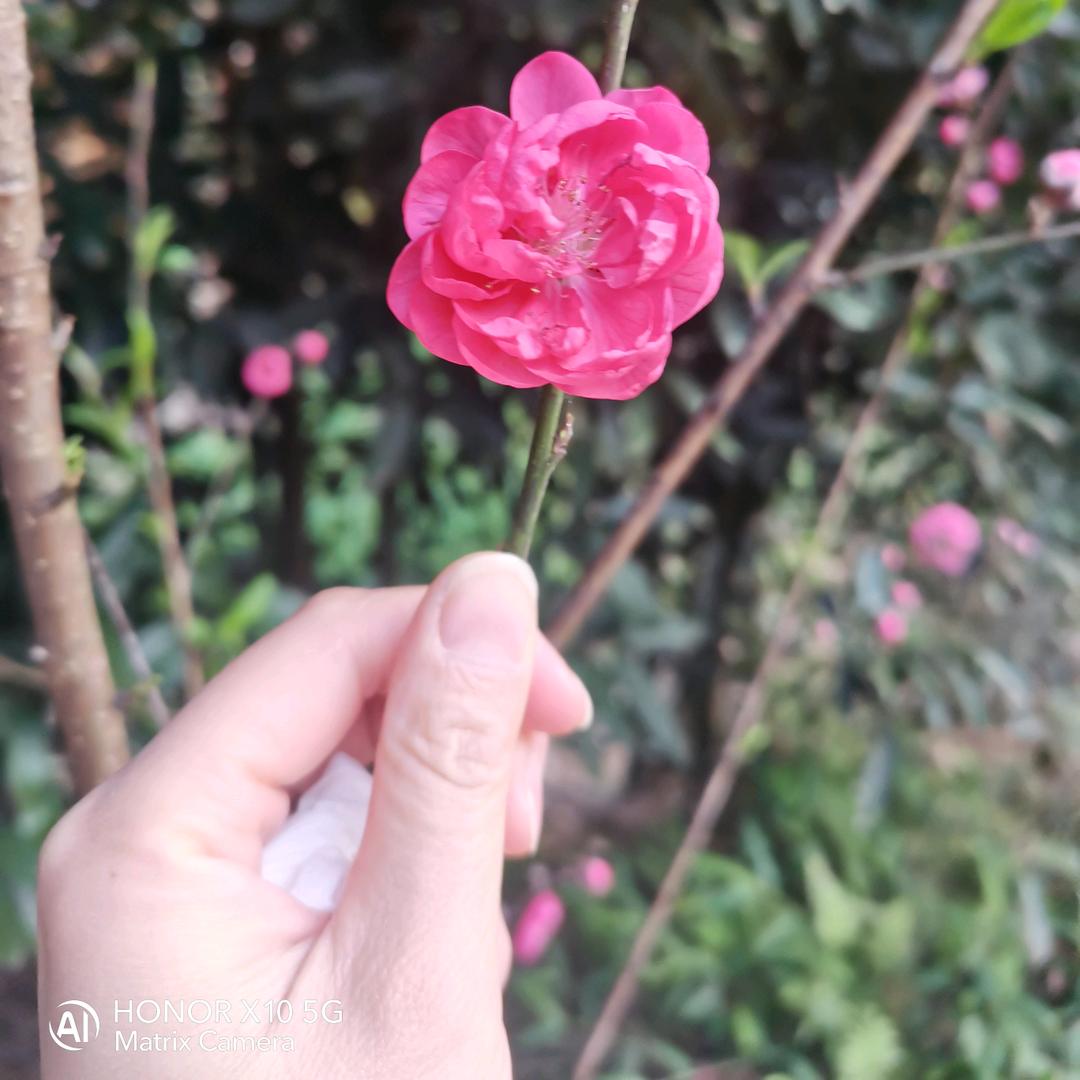 @风轻云淡，岁月静好！