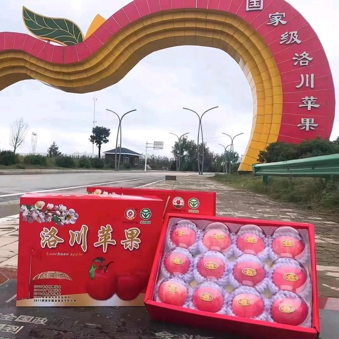 洛婧农优生鲜水果