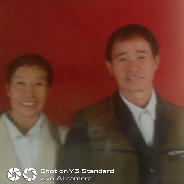 窦保华