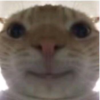 挖宝