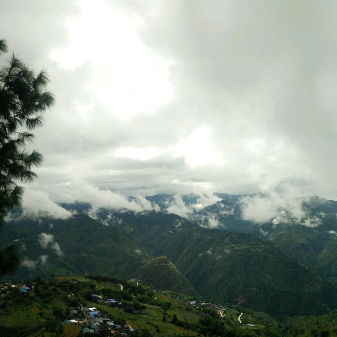 乔治♀💓☜小猪