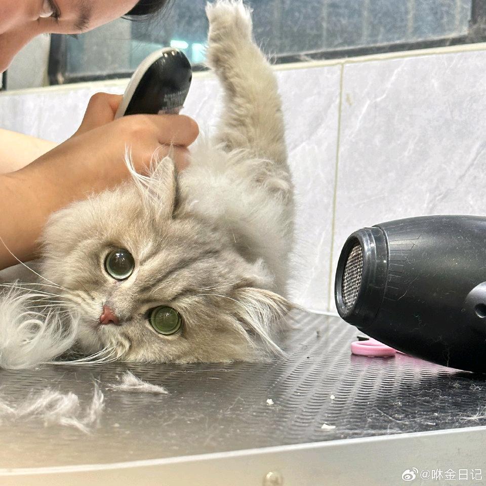 小季.