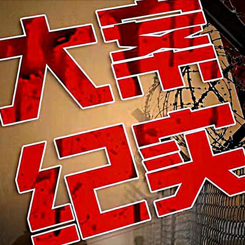 大案纪实