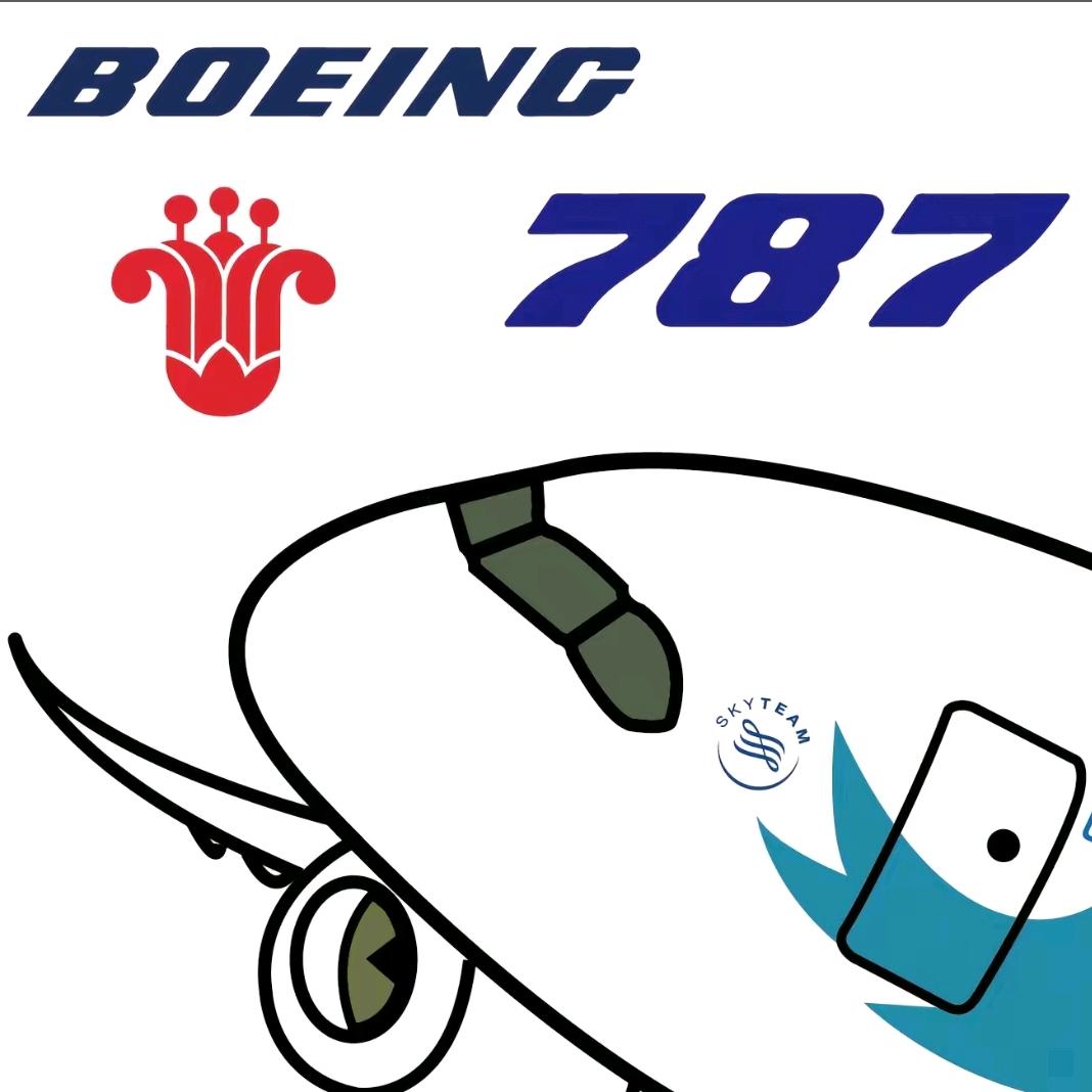 一架南航787