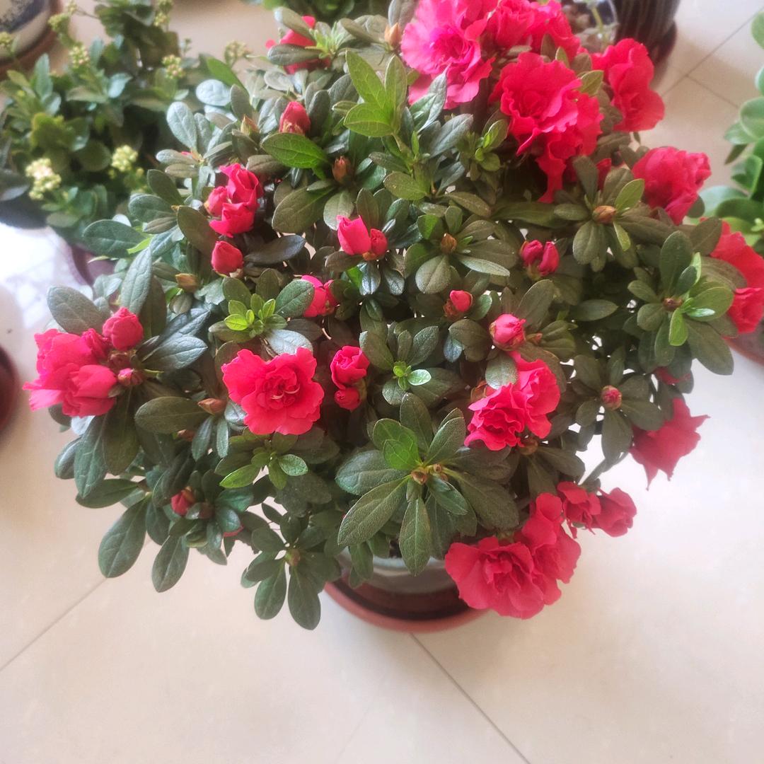 新绛家具贴膜王姐