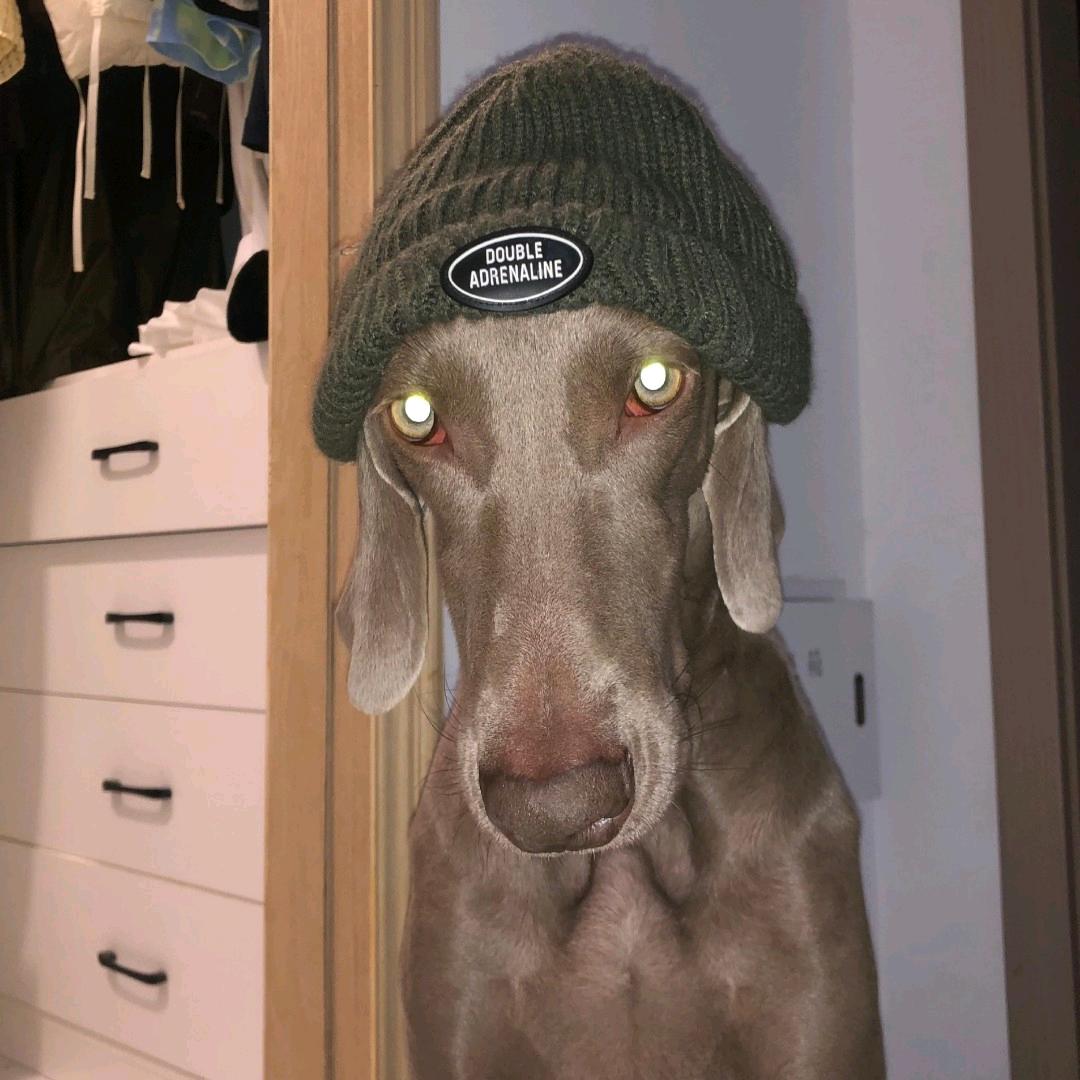 𝙬𝙤𝙤𝙙𝙚𝙣𝙝𝙤𝙢𝙚