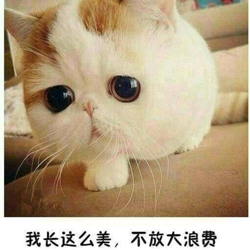 幽默的灵魂体