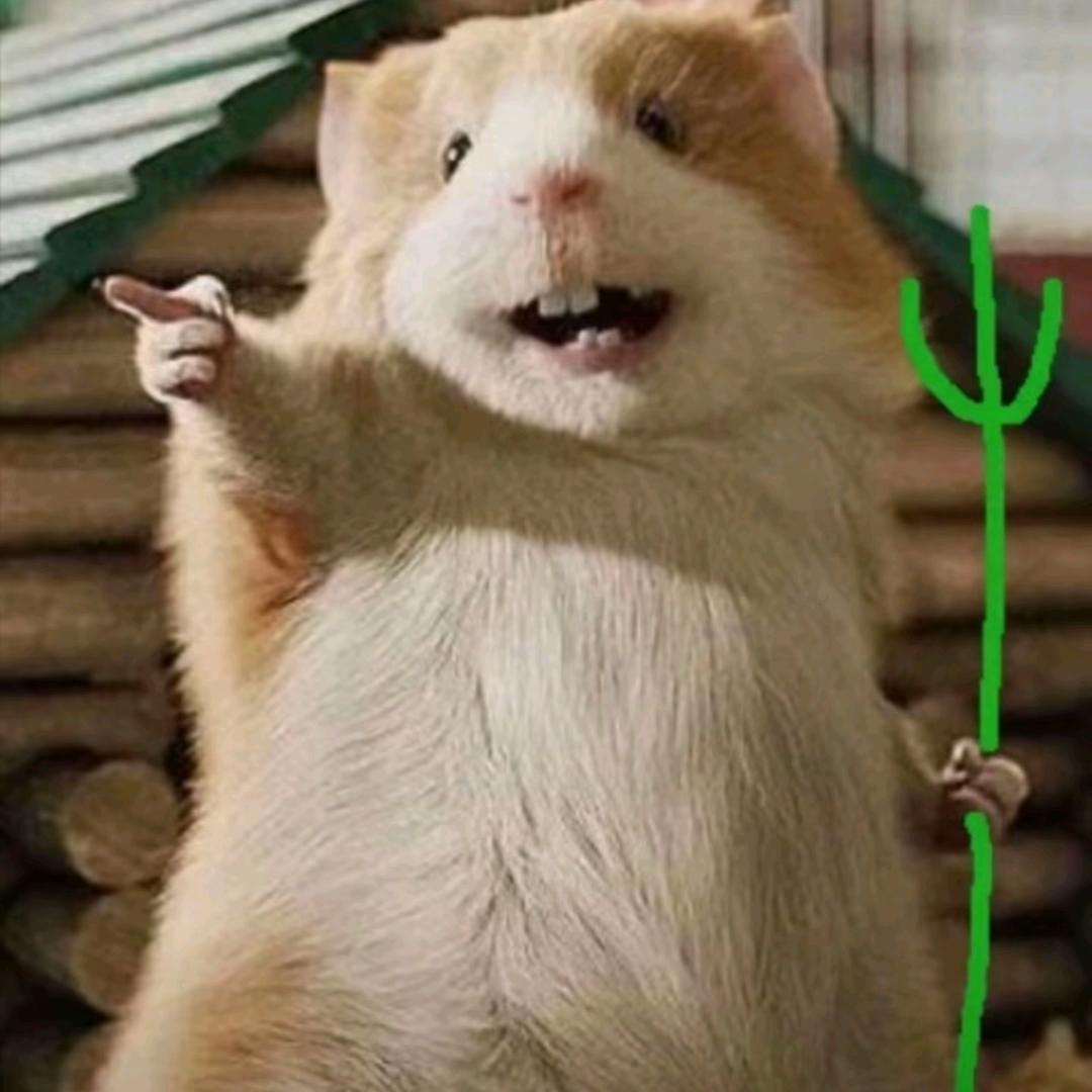 言【清风摇翠】