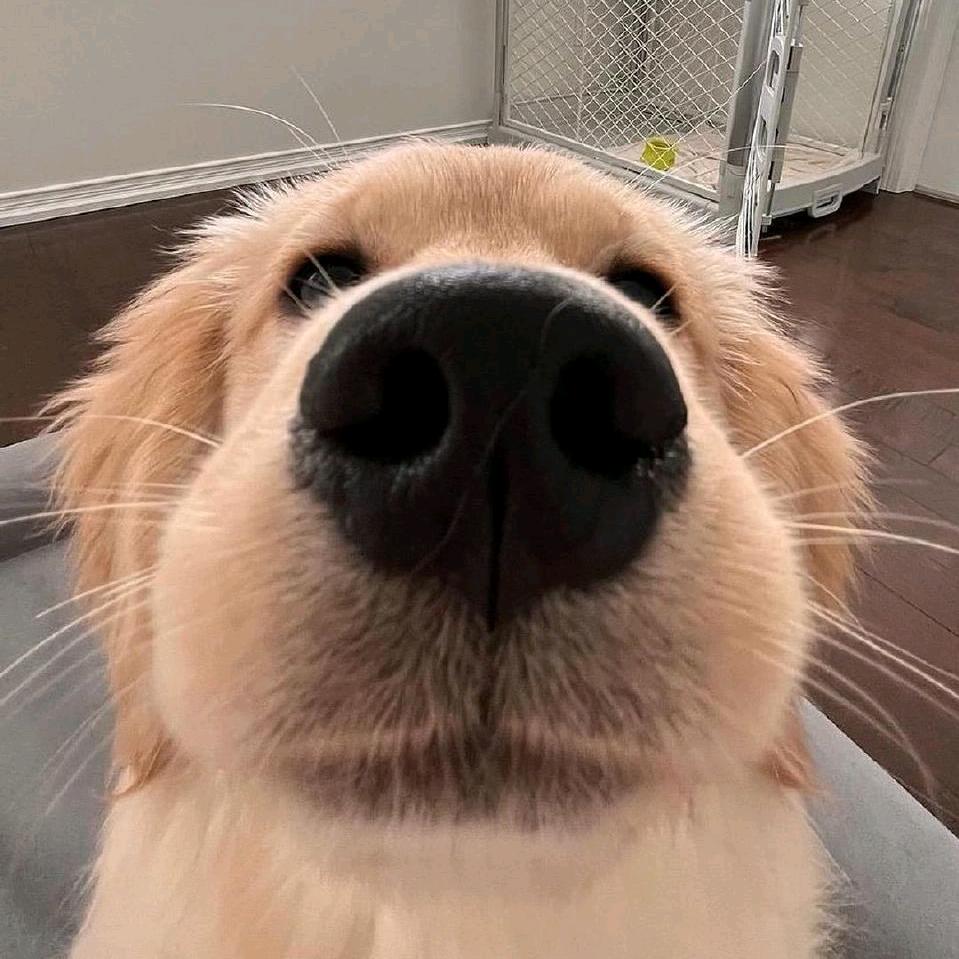 🌈🌈萱灿澜🌈