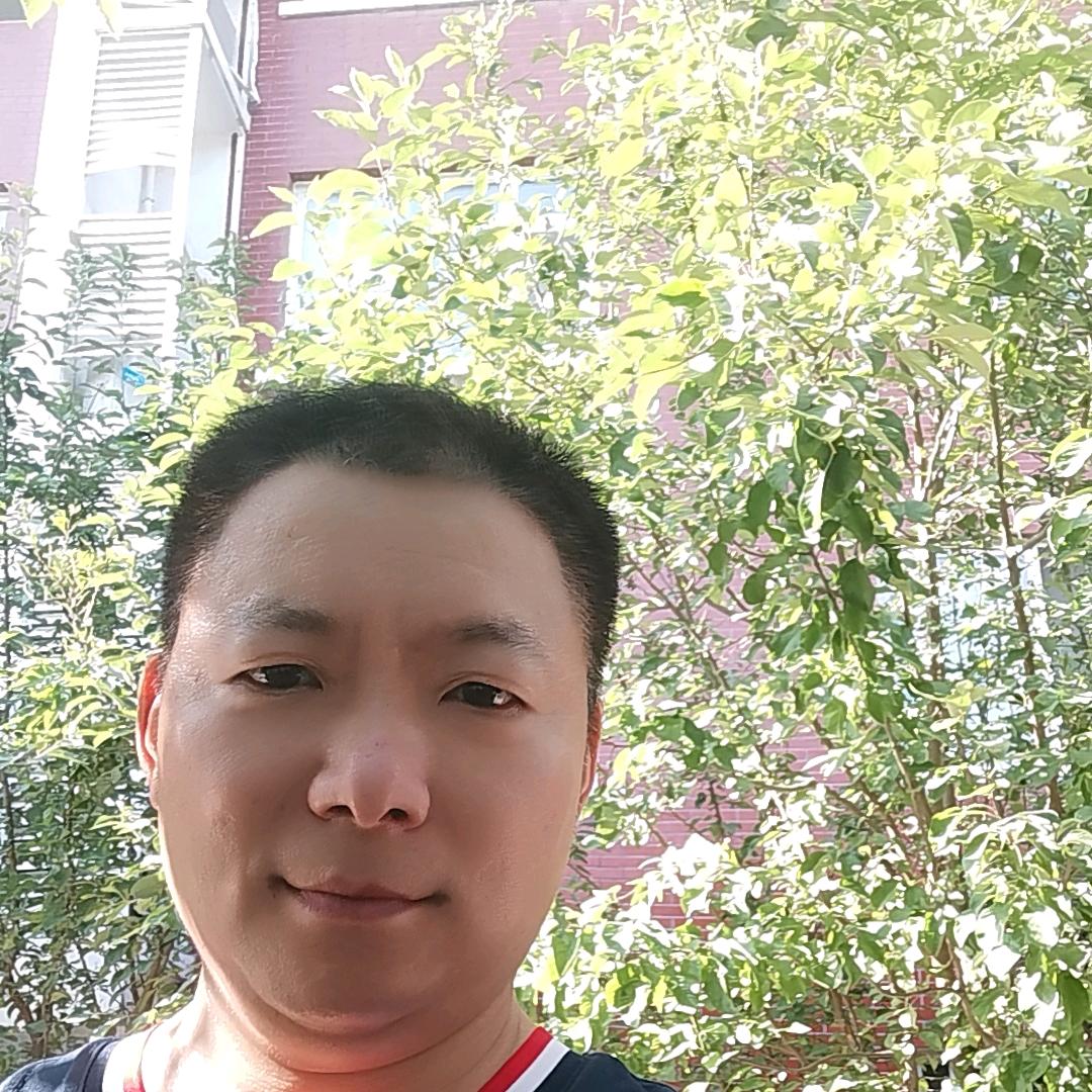 圆宝