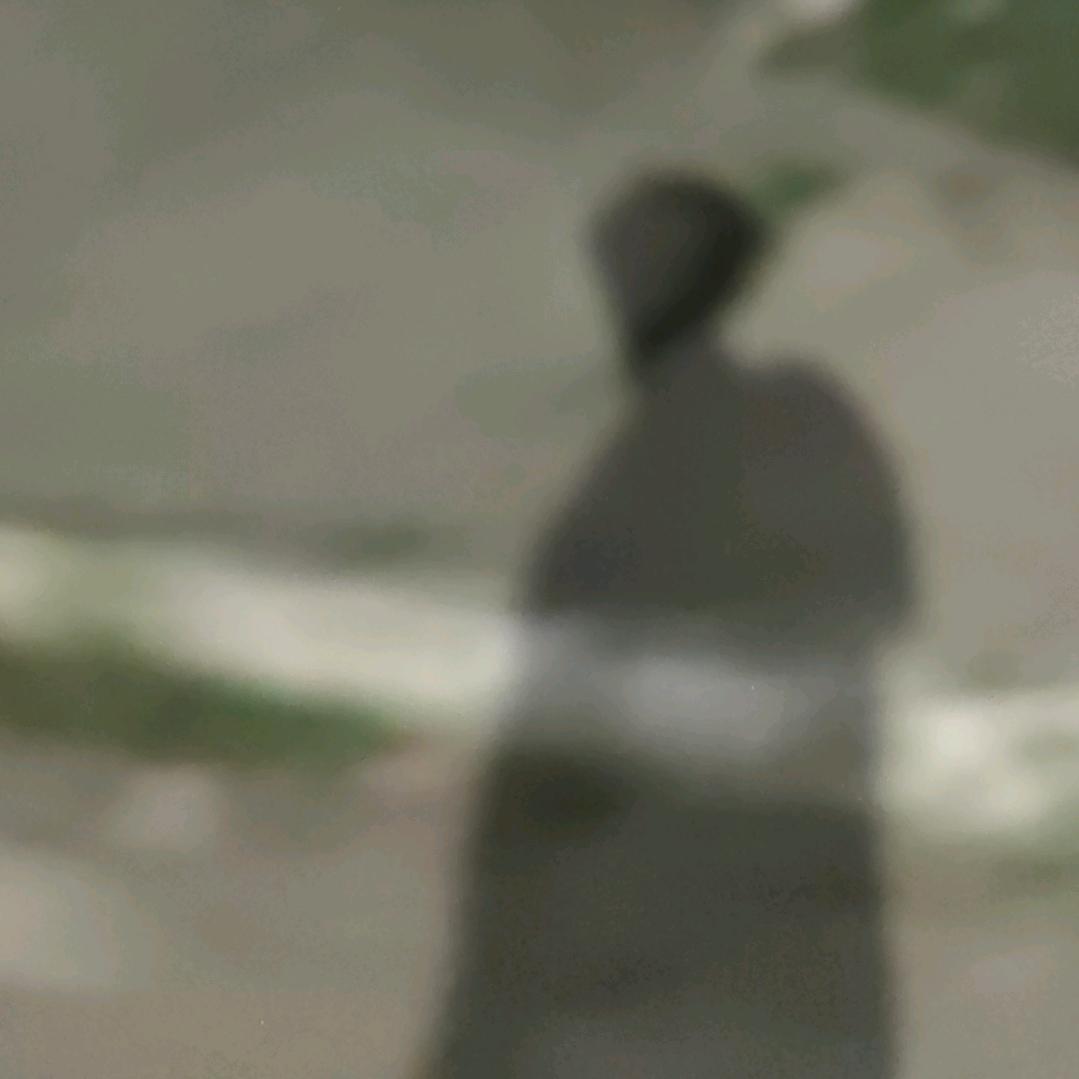 ！！！鱼