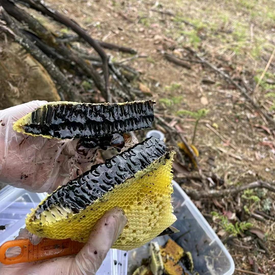 啊涛的蜂蜜店哈尼