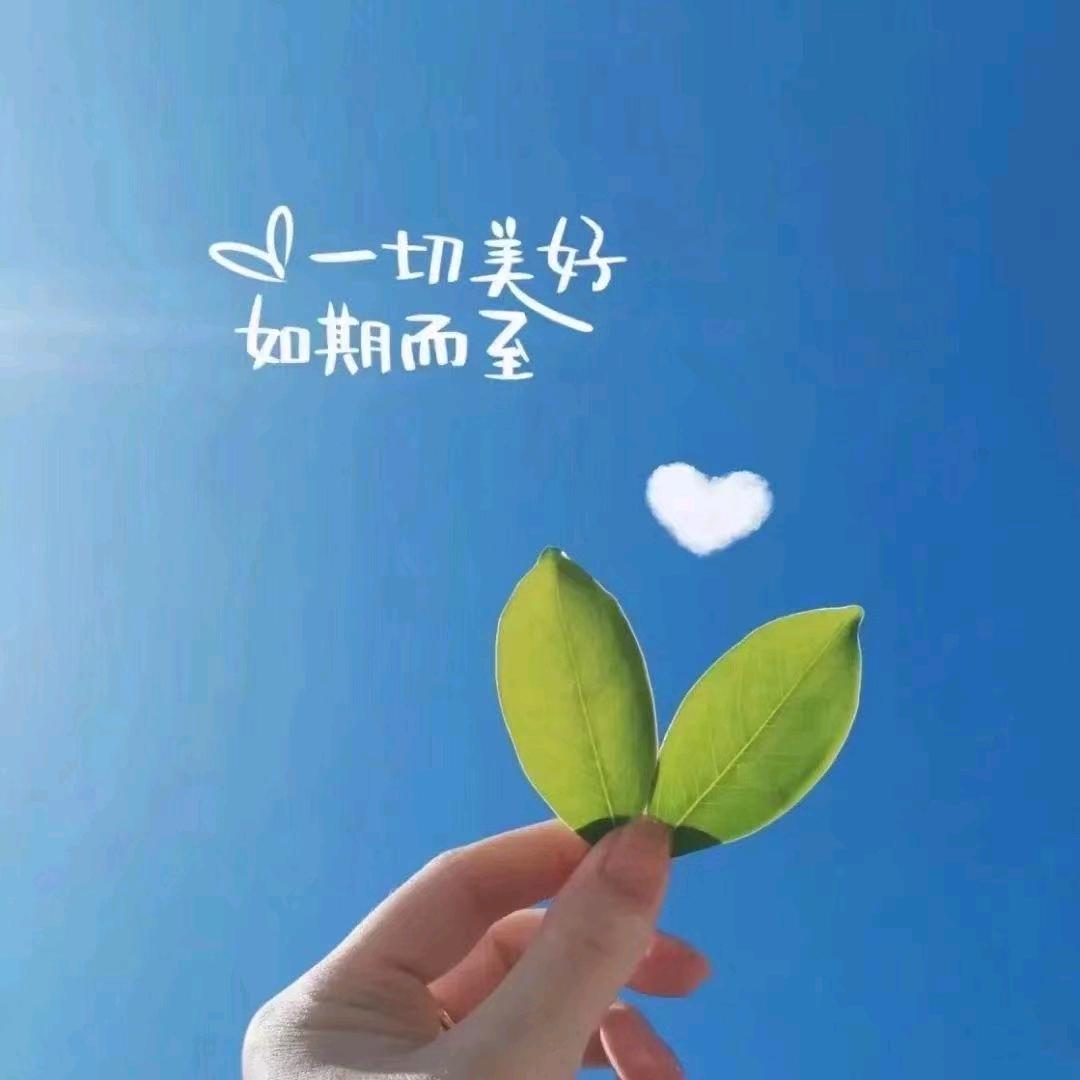 陌