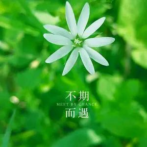 如意♥