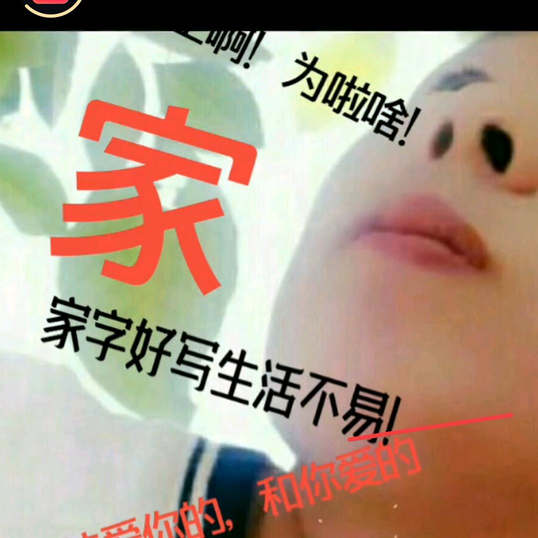 别走叫我老樊
