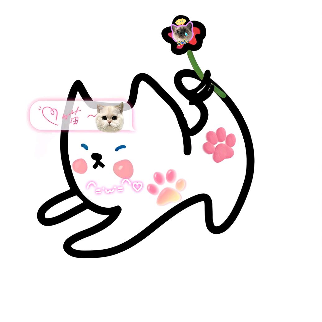 张小小