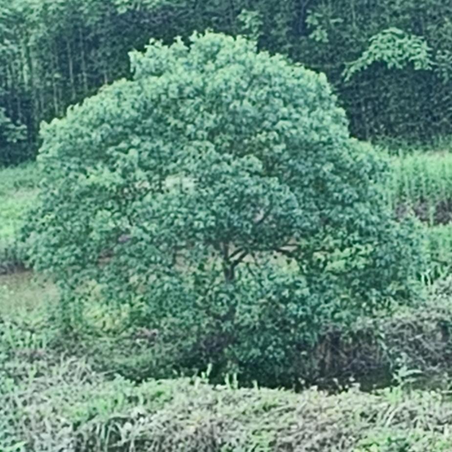 一晃就老了