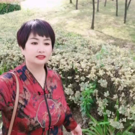 戏迷云姐
