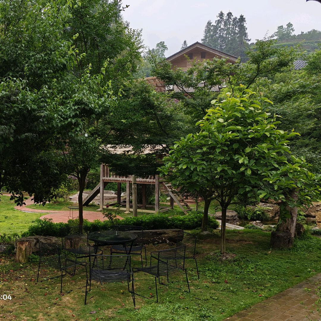 生如逆旅单行道