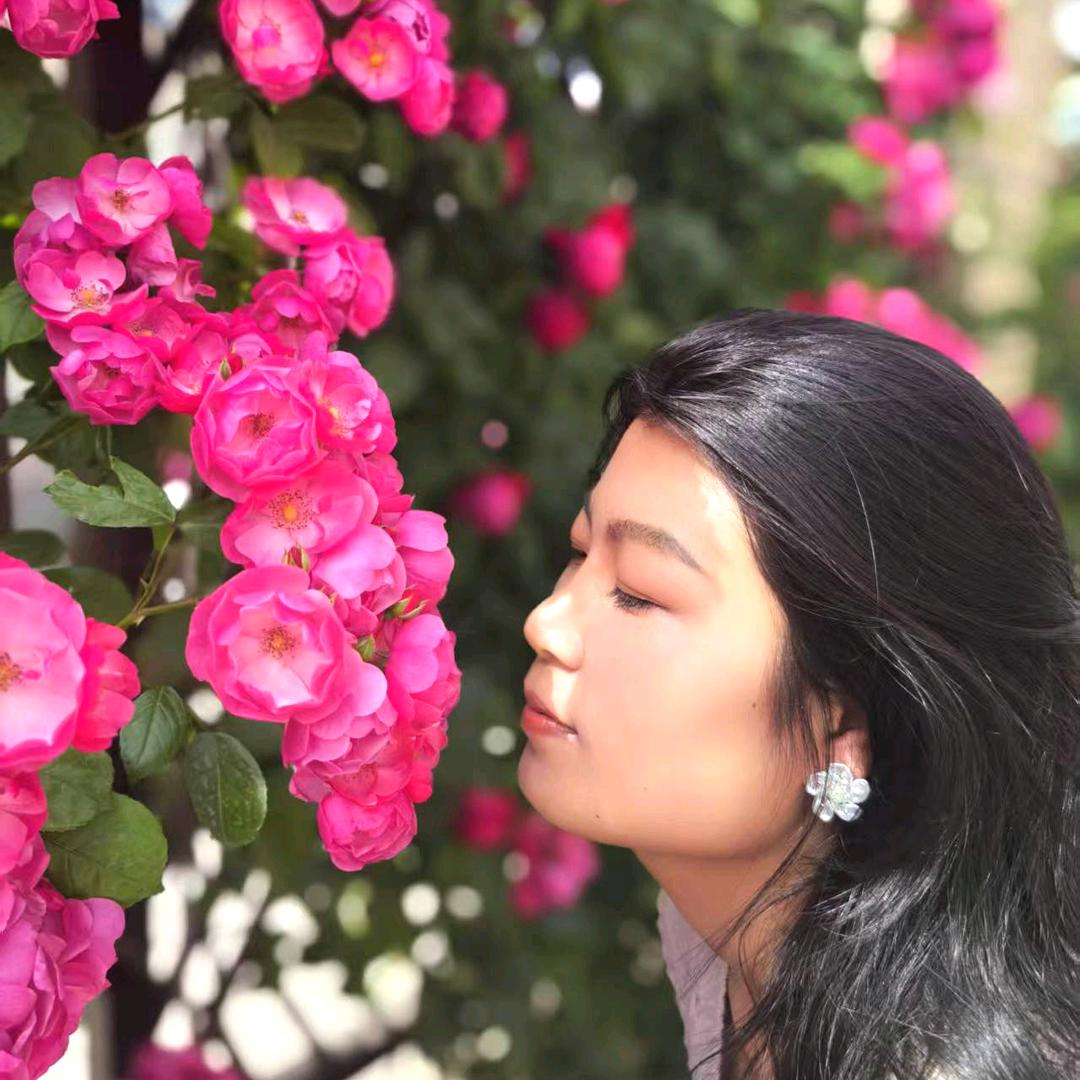 手机用户62244386041