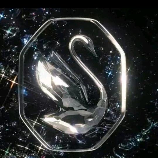 星星