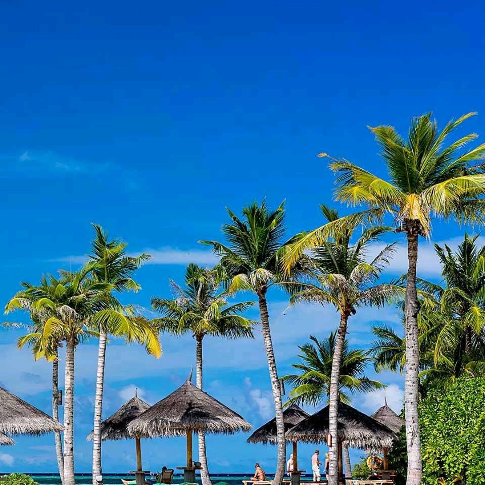 🥮开心玩🐂🥮⁸⁹⁹