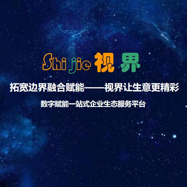 视界华商AI数字赋能