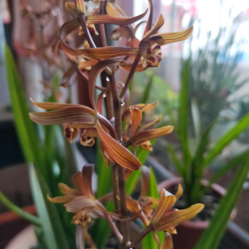 手机用户67362721242