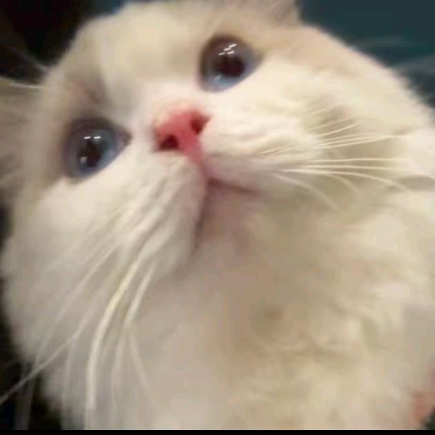 7y