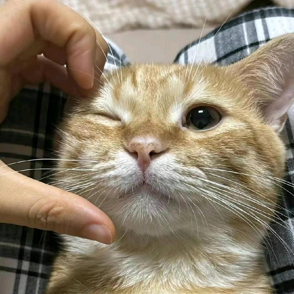 风替我告别