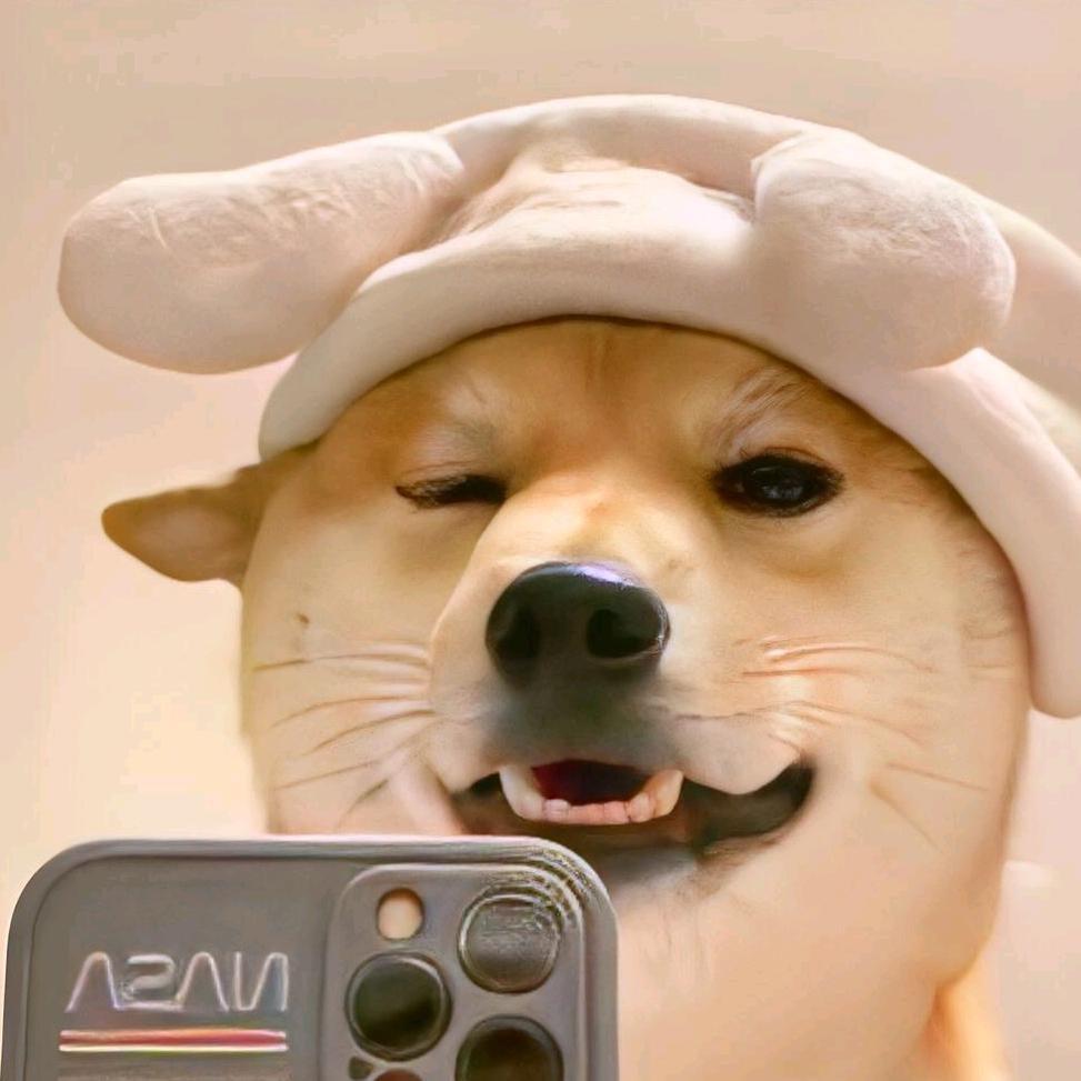 云顶皮皮虾
