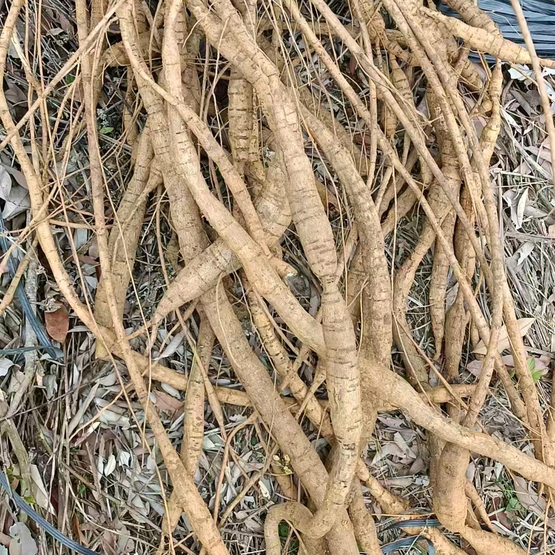 广旭瑧选阁