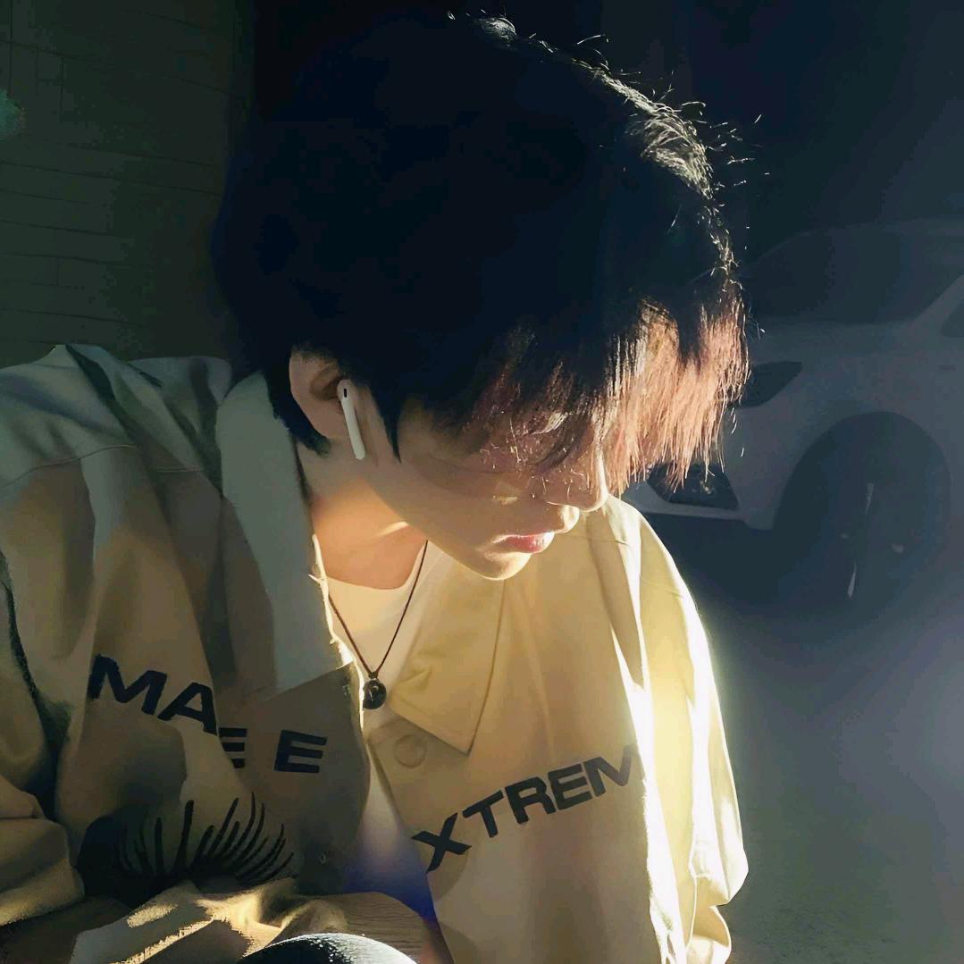 会飞的企鹅