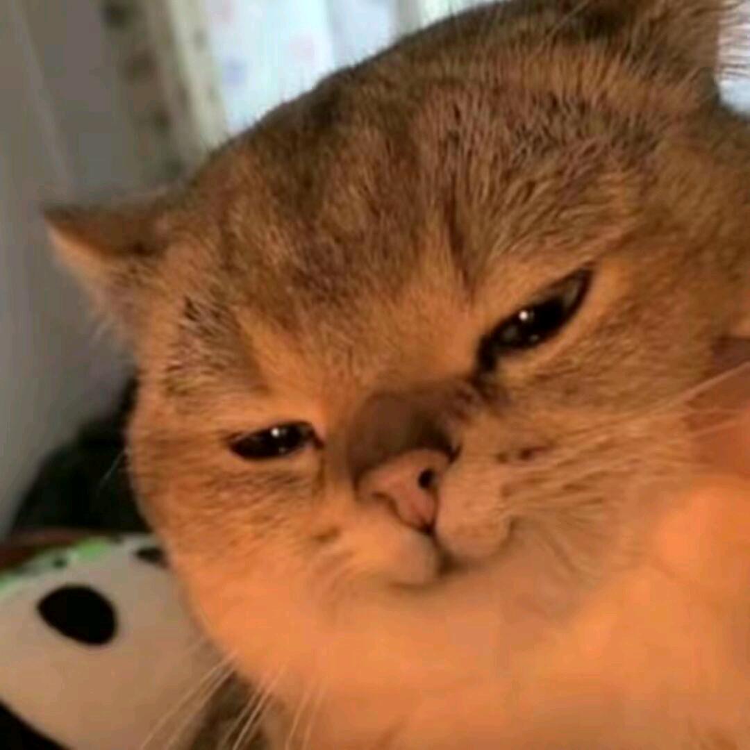 楠楠owO