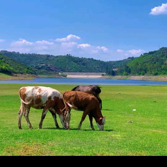 半梦半醒半浮生