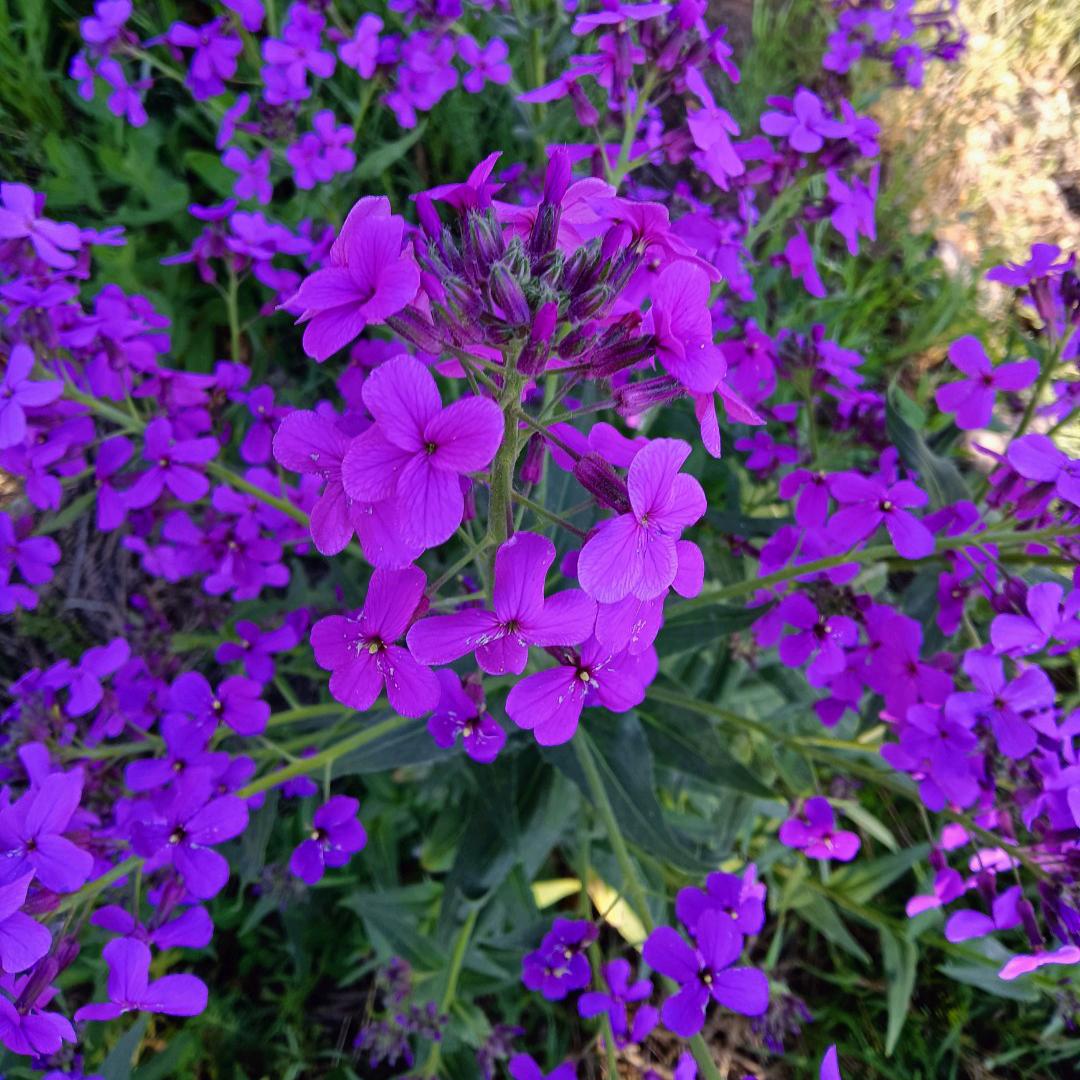 缘分