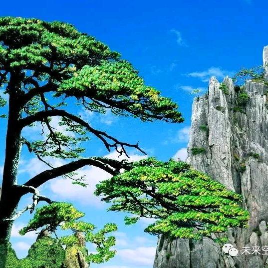 快乐每一天！